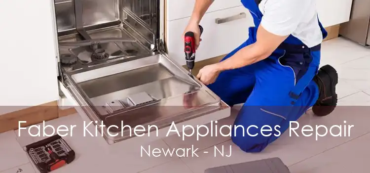 Faber Kitchen Appliances Repair Newark - NJ