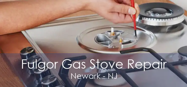 Fulgor Gas Stove Repair Newark - NJ