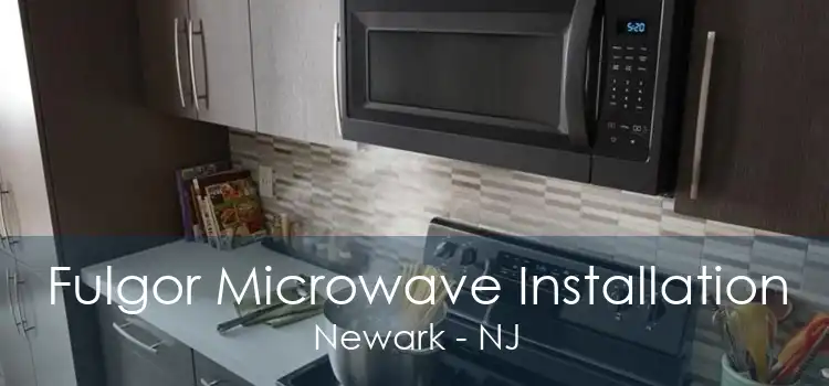 Fulgor Microwave Installation Newark - NJ