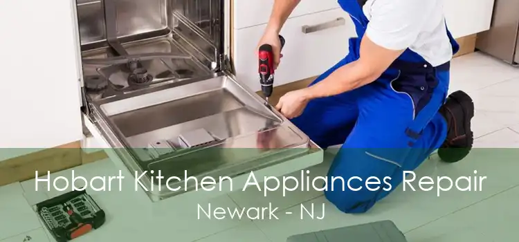 Hobart Kitchen Appliances Repair Newark - NJ