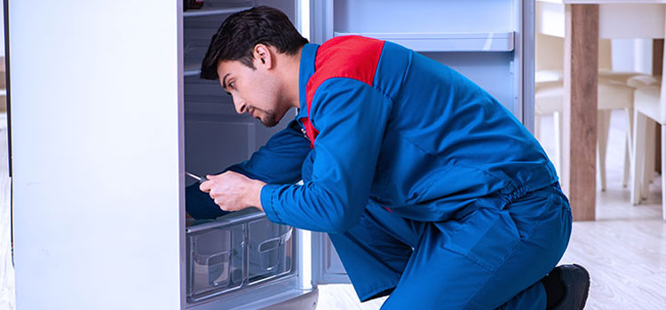 Freezer Repair Services in Newark, New Jersey