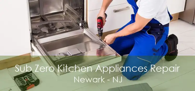 Sub Zero Kitchen Appliances Repair Newark - NJ