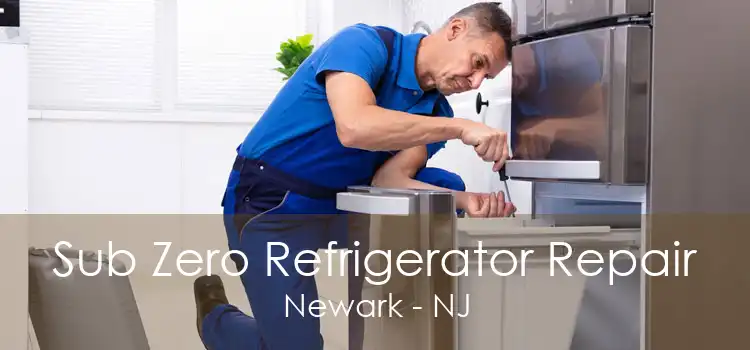 Sub Zero Refrigerator Repair Newark - NJ