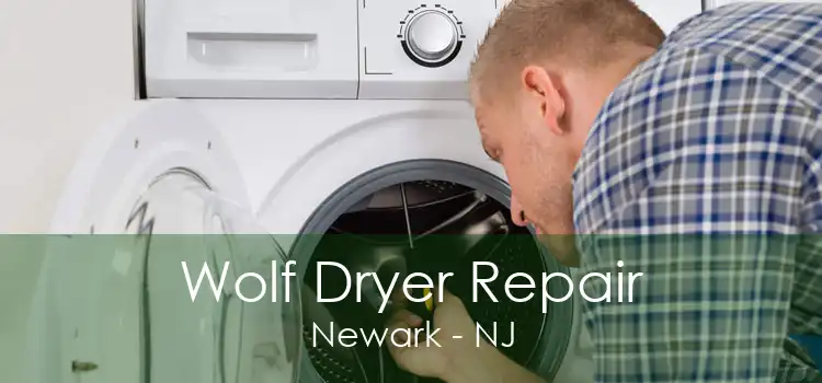 Wolf Dryer Repair Newark - NJ